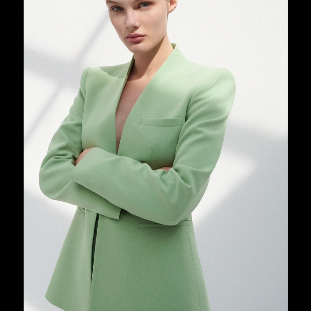 Nwot Zara  woman blazer